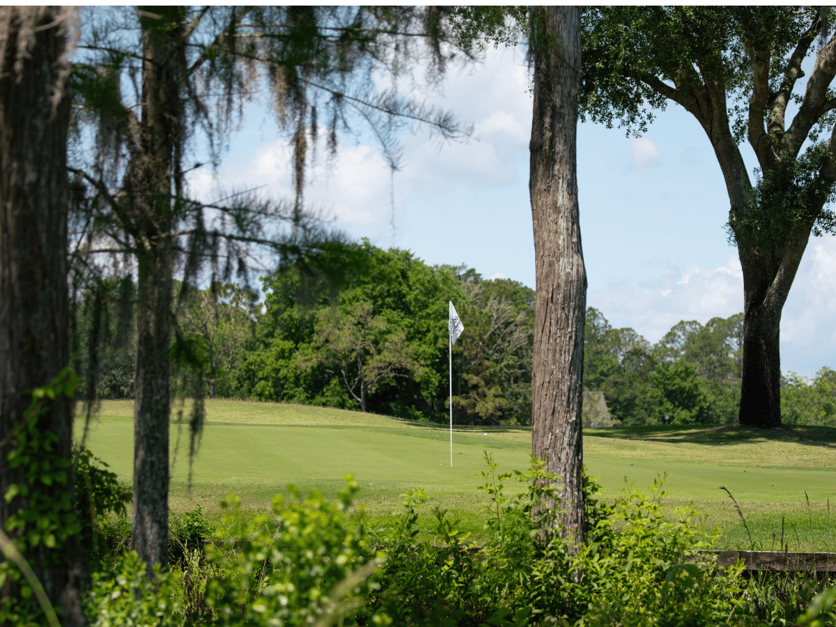 Golf Course Tour